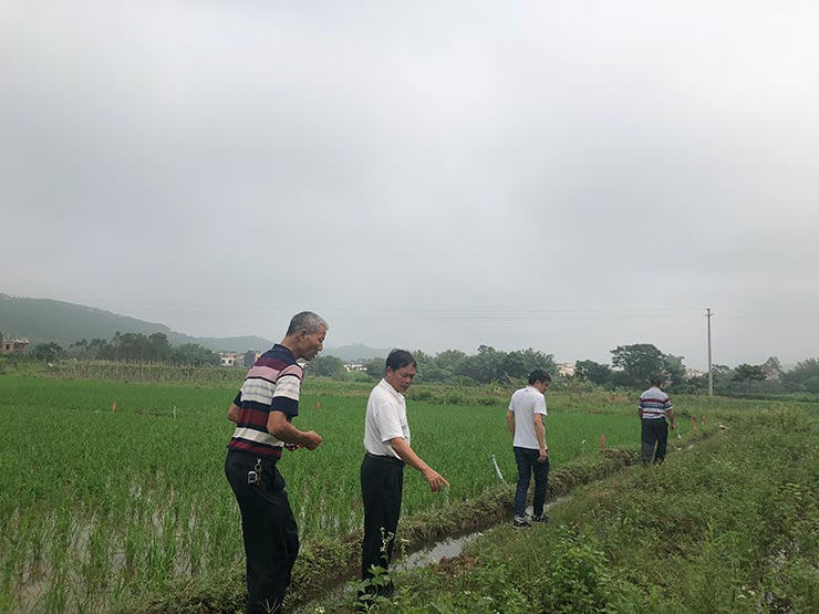 BB电子游戏·(中国)官方官网