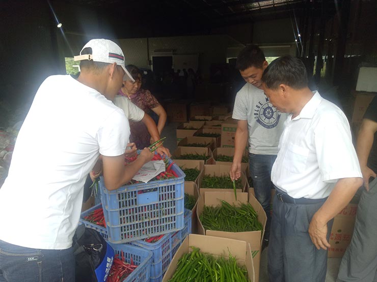 BB电子游戏·(中国)官方官网