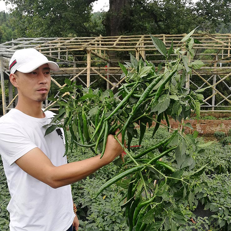 BB电子游戏·(中国)官方官网