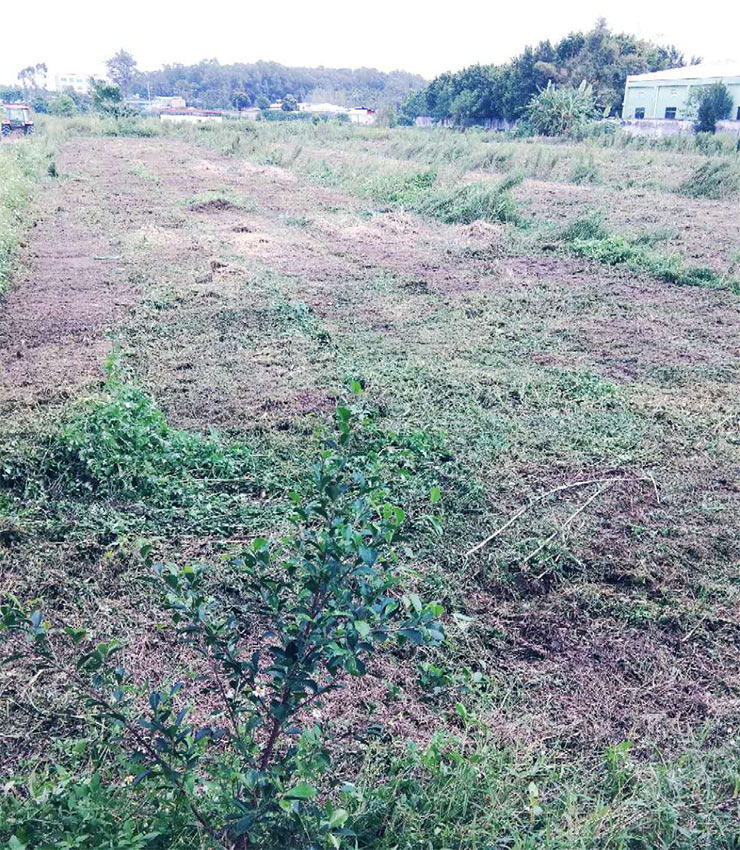 BB电子游戏·(中国)官方官网