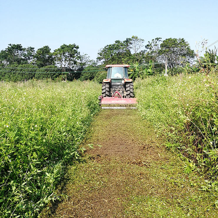 BB电子游戏·(中国)官方官网