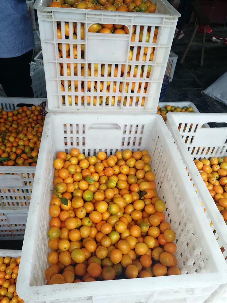 BB电子游戏·(中国)官方官网