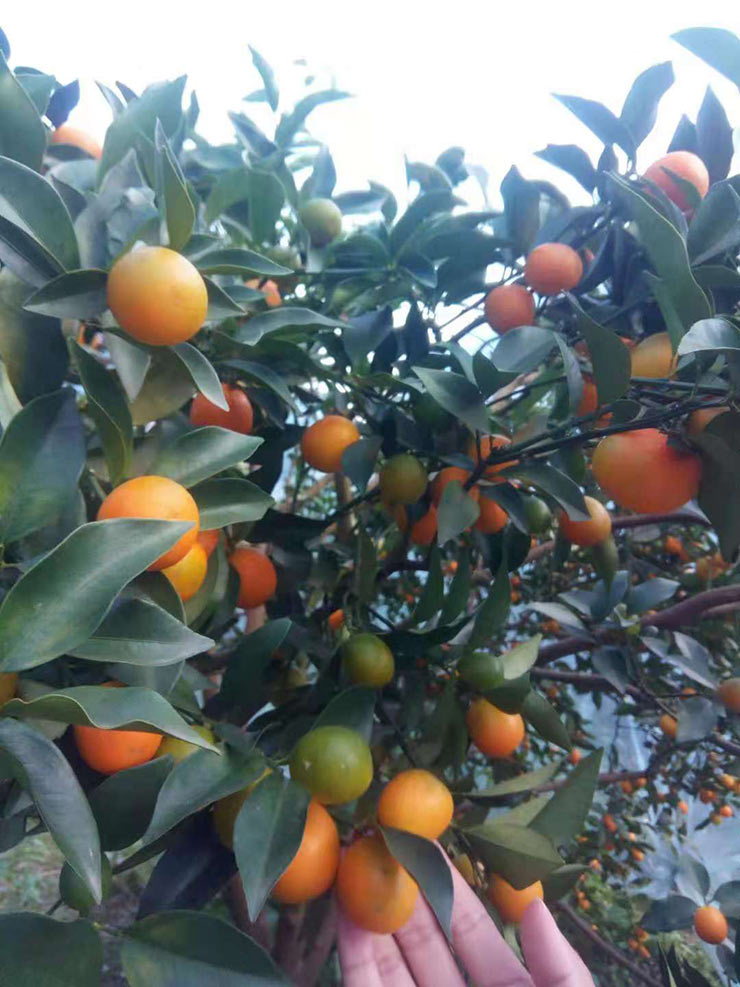 BB电子游戏·(中国)官方官网