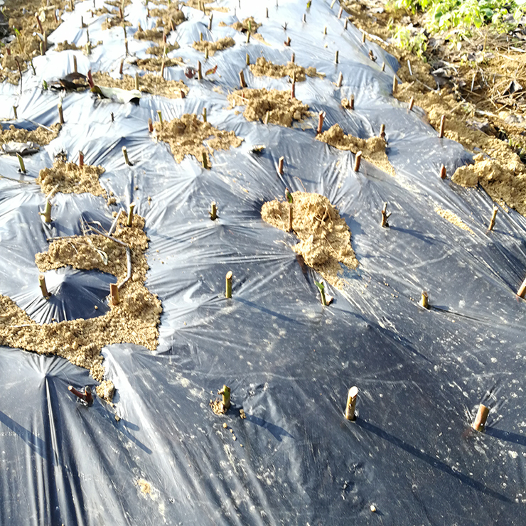 BB电子游戏·(中国)官方官网