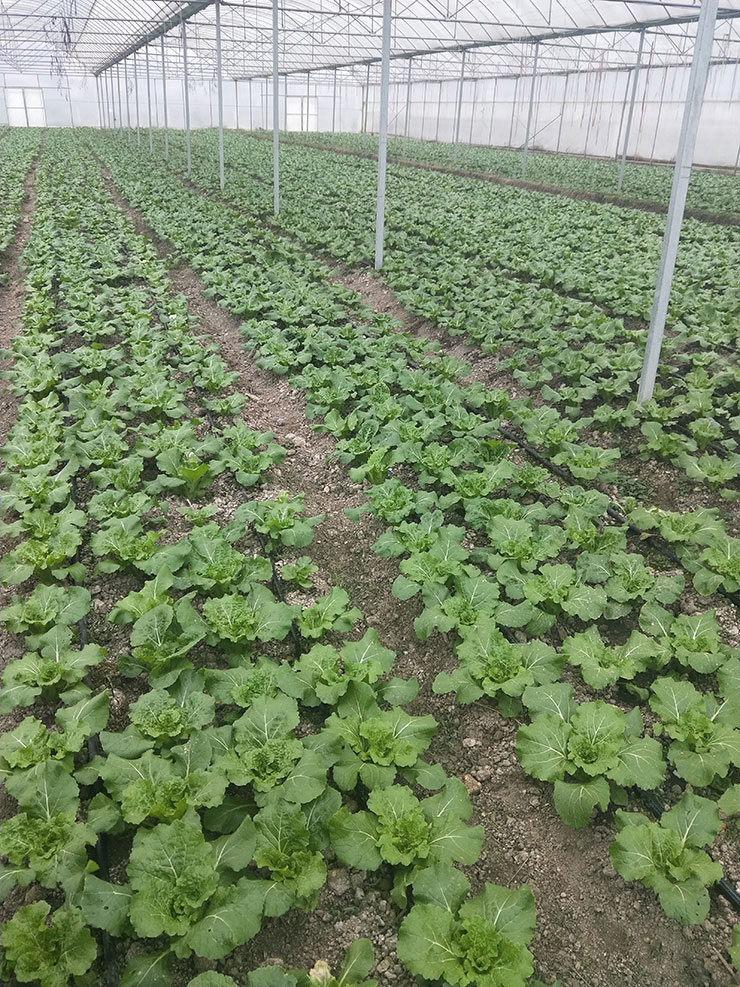 BB电子游戏·(中国)官方官网