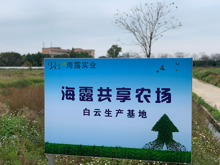 BB电子游戏·(中国)官方官网