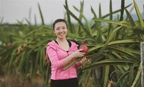 BB电子游戏·(中国)官方官网