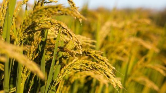 BB电子游戏·(中国)官方官网