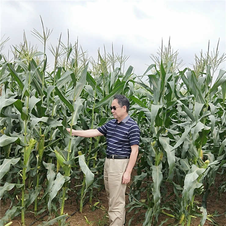 BB电子游戏·(中国)官方官网