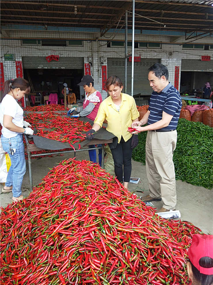 BB电子游戏·(中国)官方官网