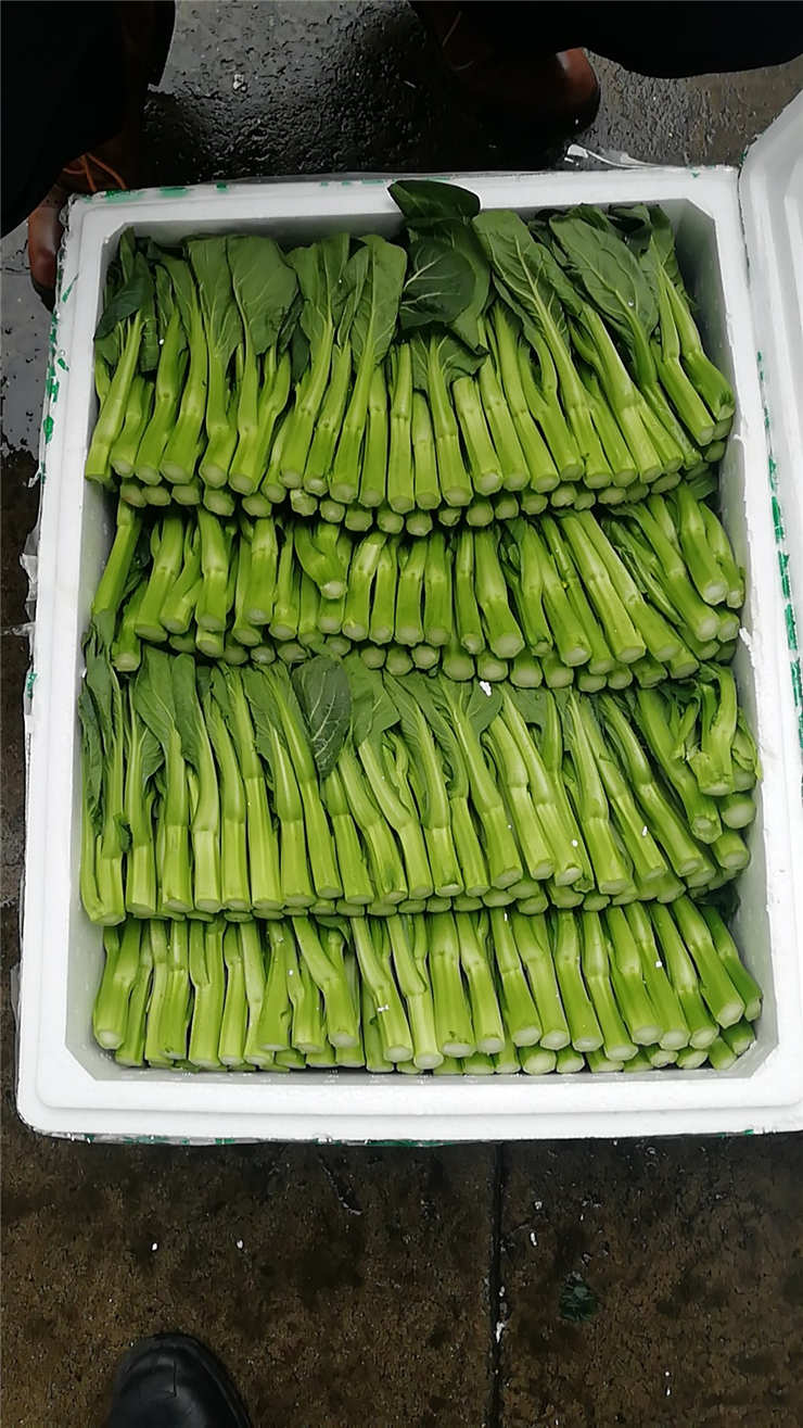 BB电子游戏·(中国)官方官网