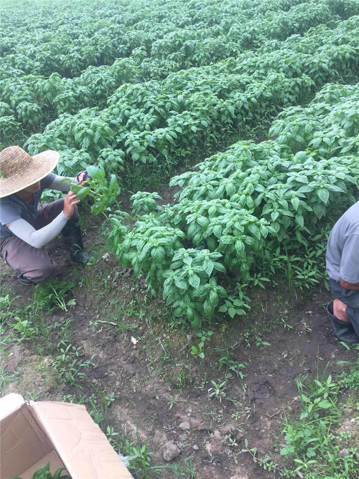 BB电子游戏·(中国)官方官网