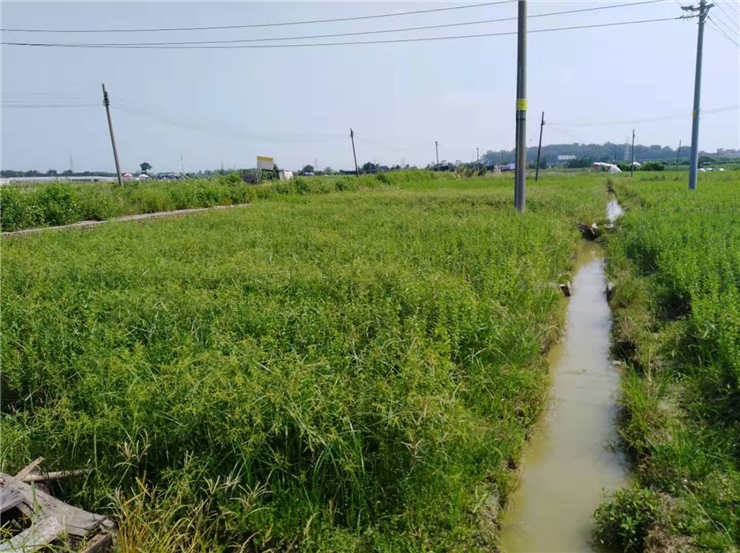 BB电子游戏·(中国)官方官网