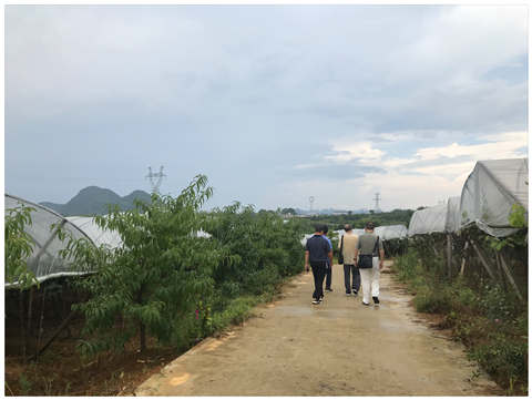 BB电子游戏·(中国)官方官网