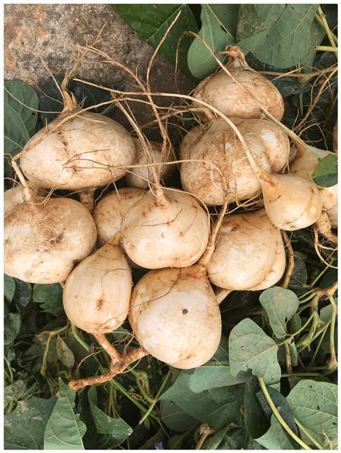 BB电子游戏·(中国)官方官网