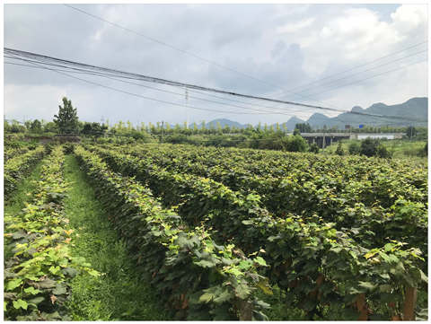 BB电子游戏·(中国)官方官网