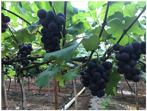 BB电子游戏·(中国)官方官网