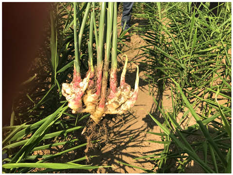 BB电子游戏·(中国)官方官网