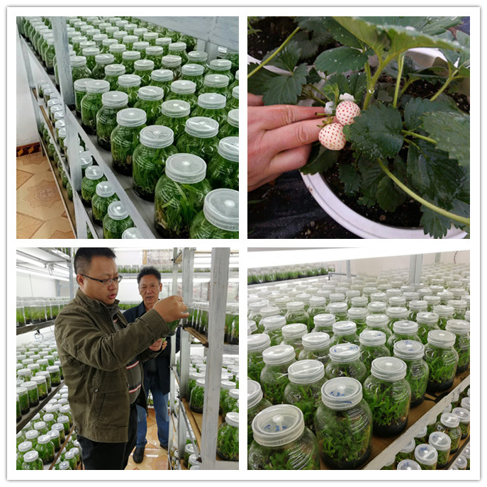 BB电子游戏·(中国)官方官网