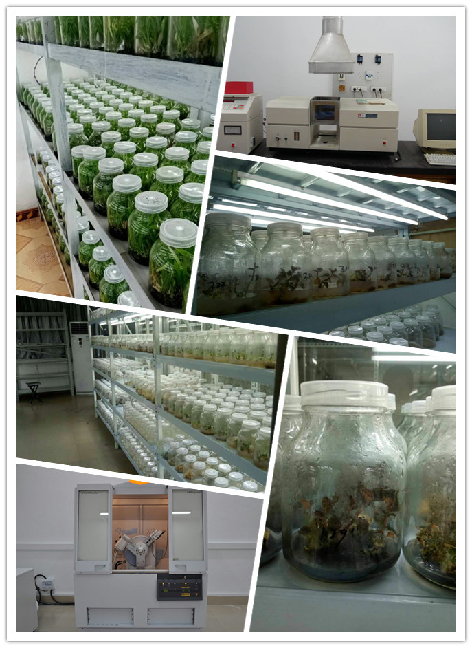 BB电子游戏·(中国)官方官网