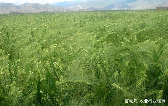 BB电子游戏·(中国)官方官网