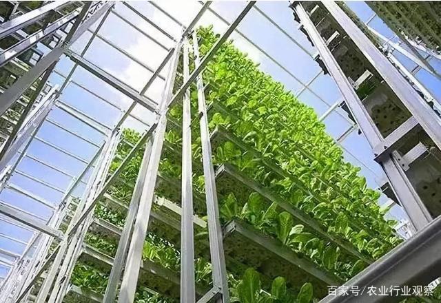 BB电子游戏·(中国)官方官网