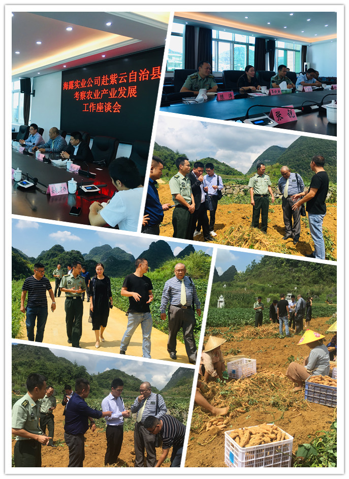 BB电子游戏·(中国)官方官网