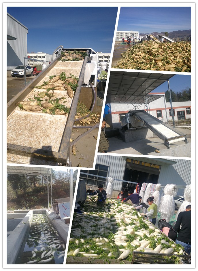 BB电子游戏·(中国)官方官网