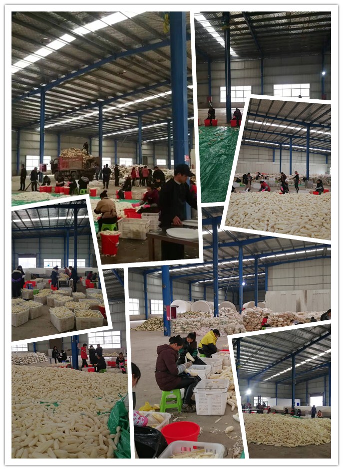 BB电子游戏·(中国)官方官网