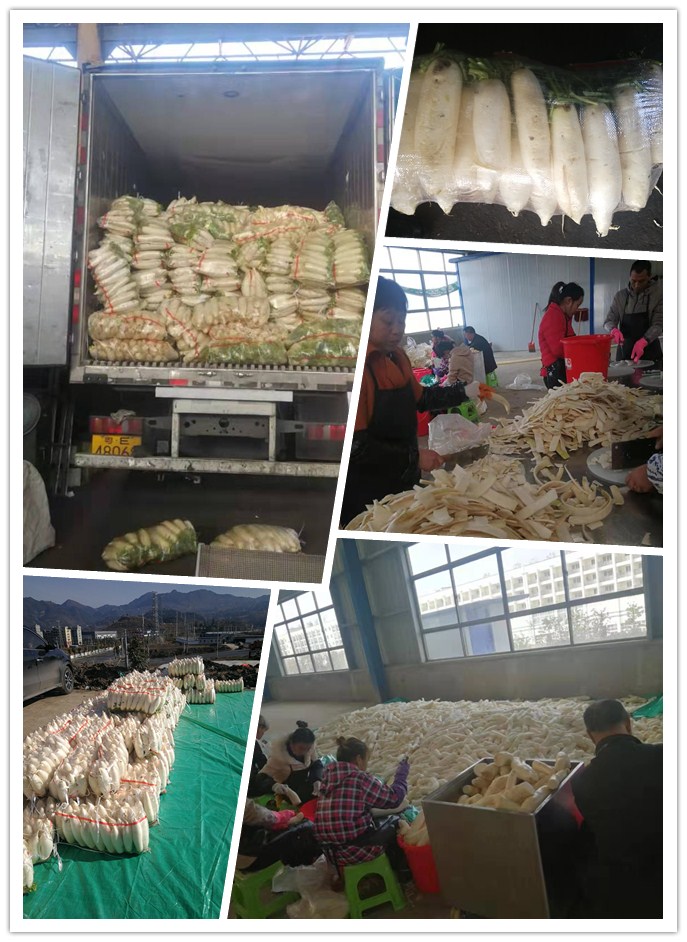 BB电子游戏·(中国)官方官网