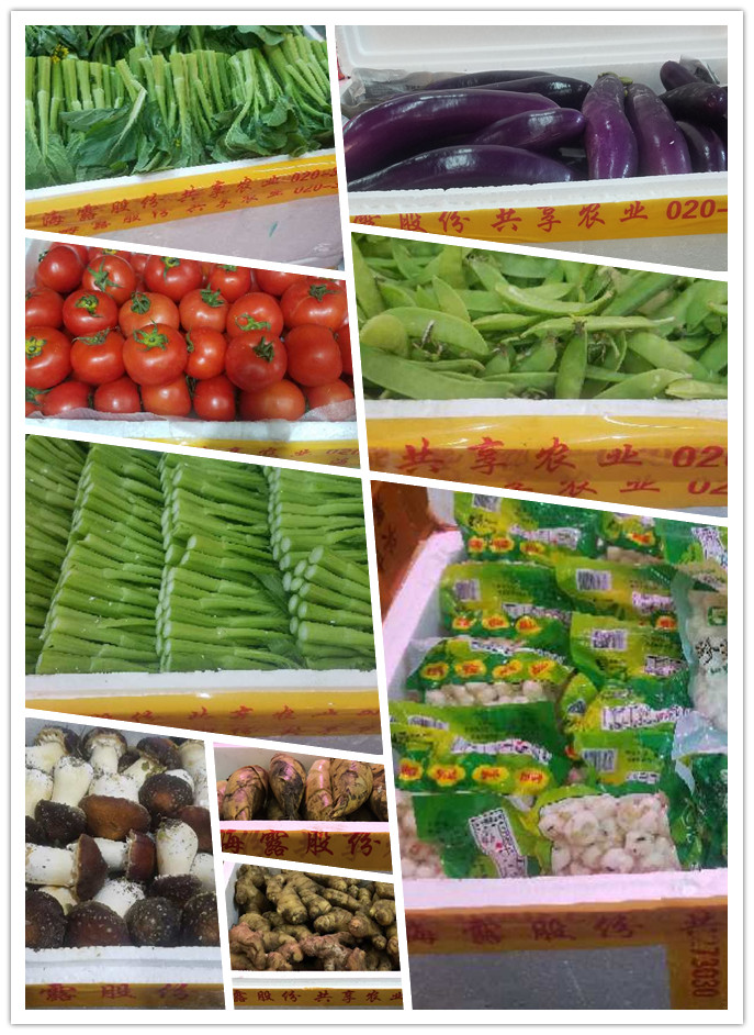 BB电子游戏·(中国)官方官网