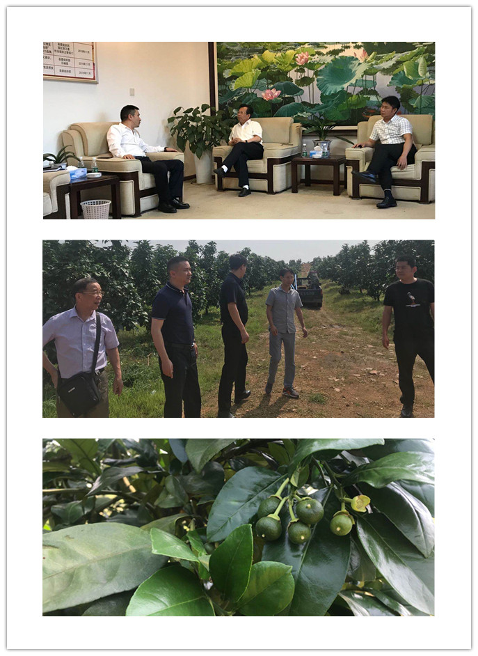 BB电子游戏·(中国)官方官网