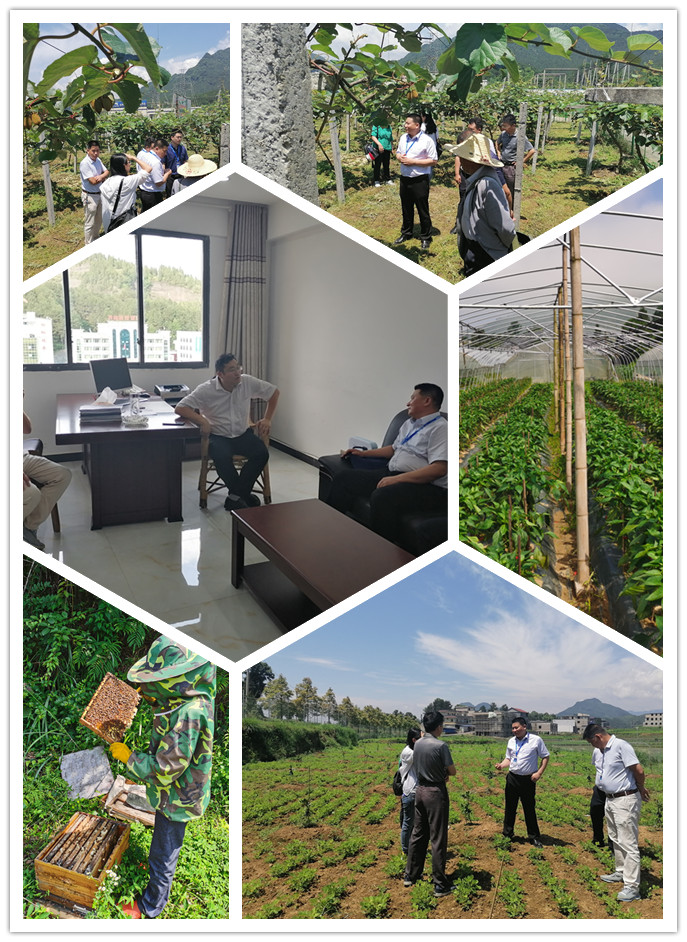 BB电子游戏·(中国)官方官网