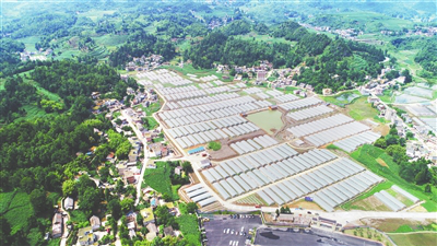 BB电子游戏·(中国)官方官网