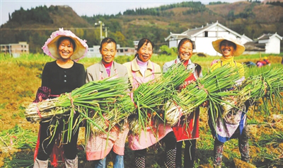 BB电子游戏·(中国)官方官网