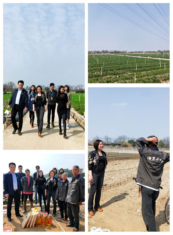 BB电子游戏·(中国)官方官网