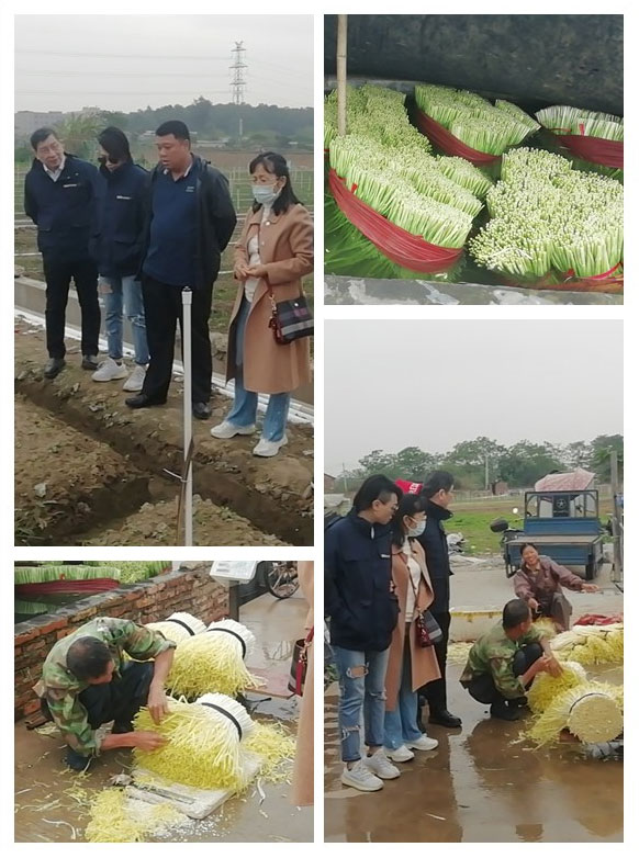 BB电子游戏·(中国)官方官网