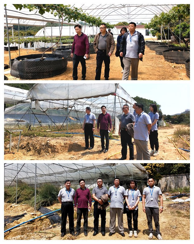 BB电子游戏·(中国)官方官网