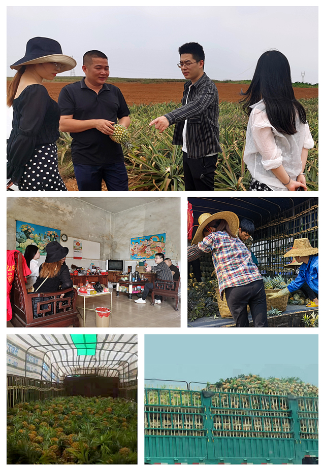 BB电子游戏·(中国)官方官网