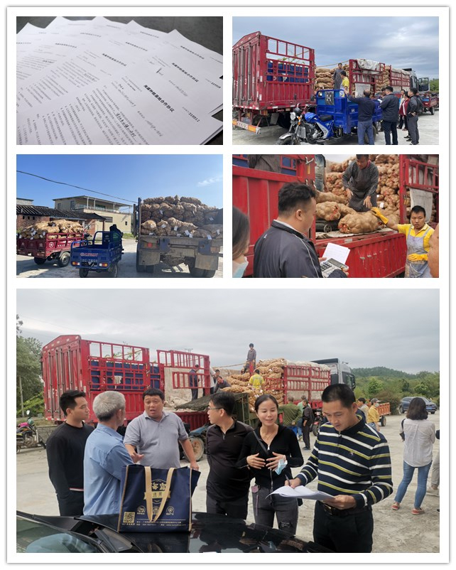 BB电子游戏·(中国)官方官网