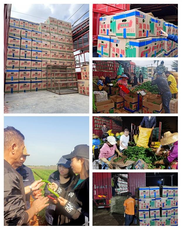 BB电子游戏·(中国)官方官网