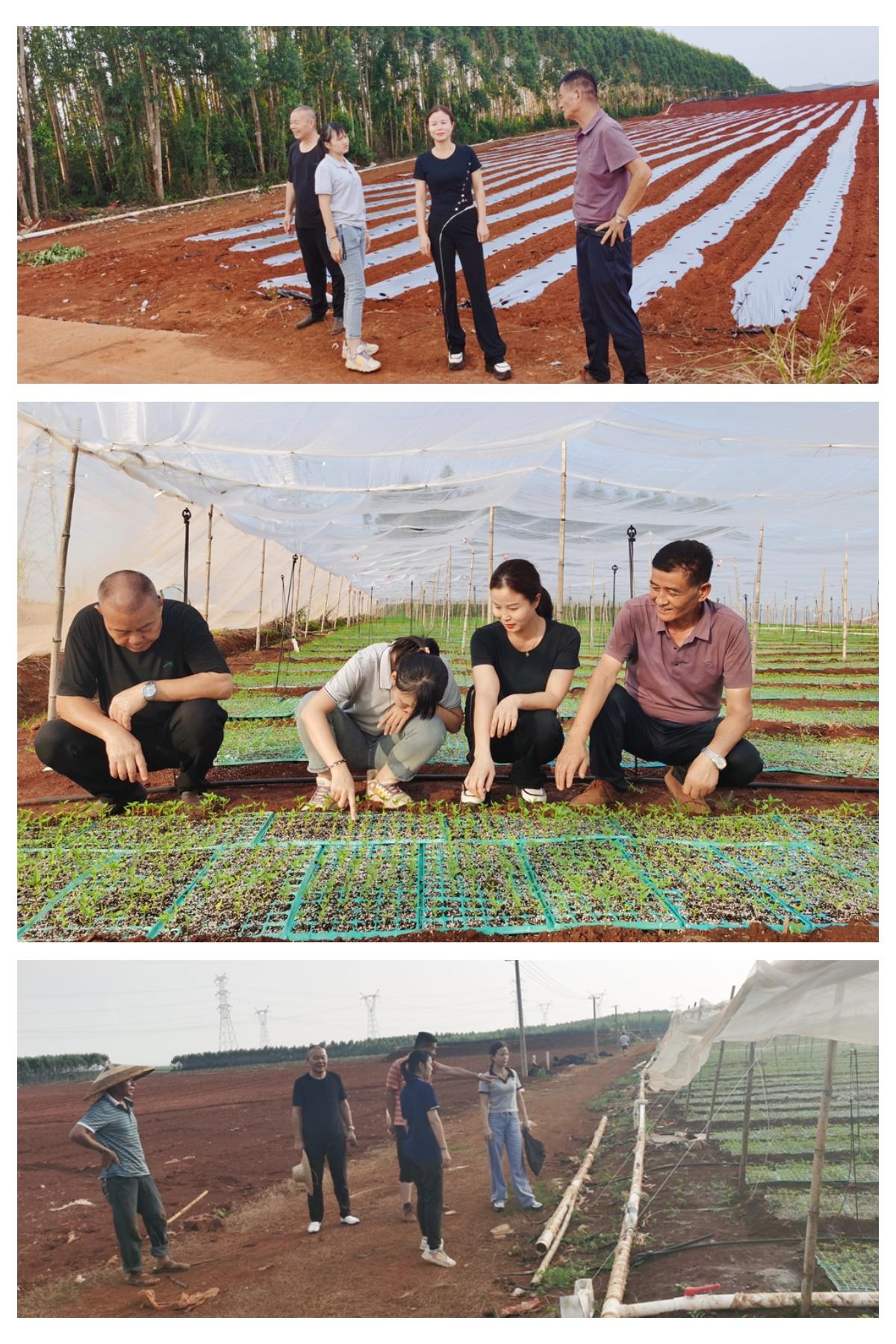 BB电子游戏·(中国)官方官网