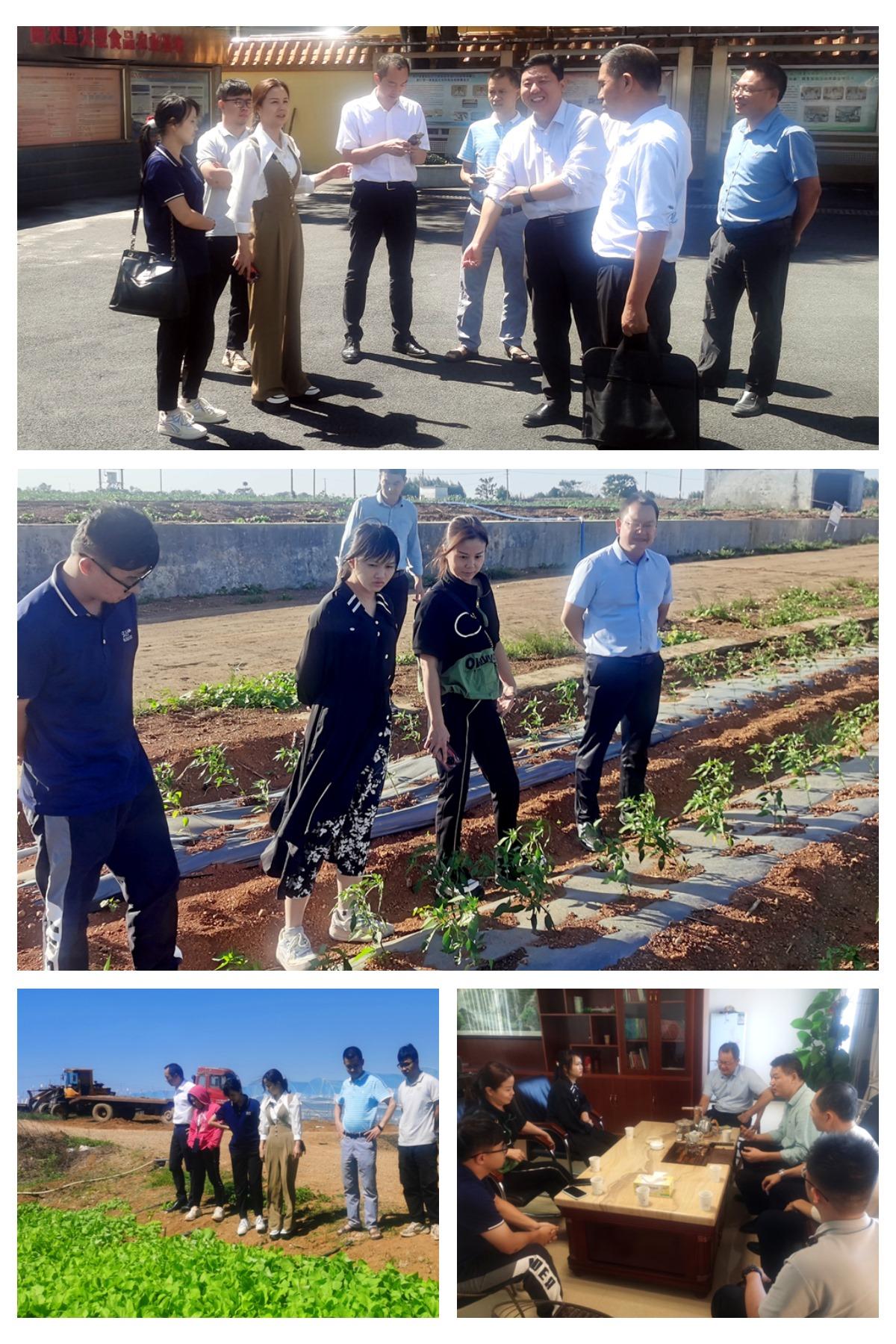 BB电子游戏·(中国)官方官网