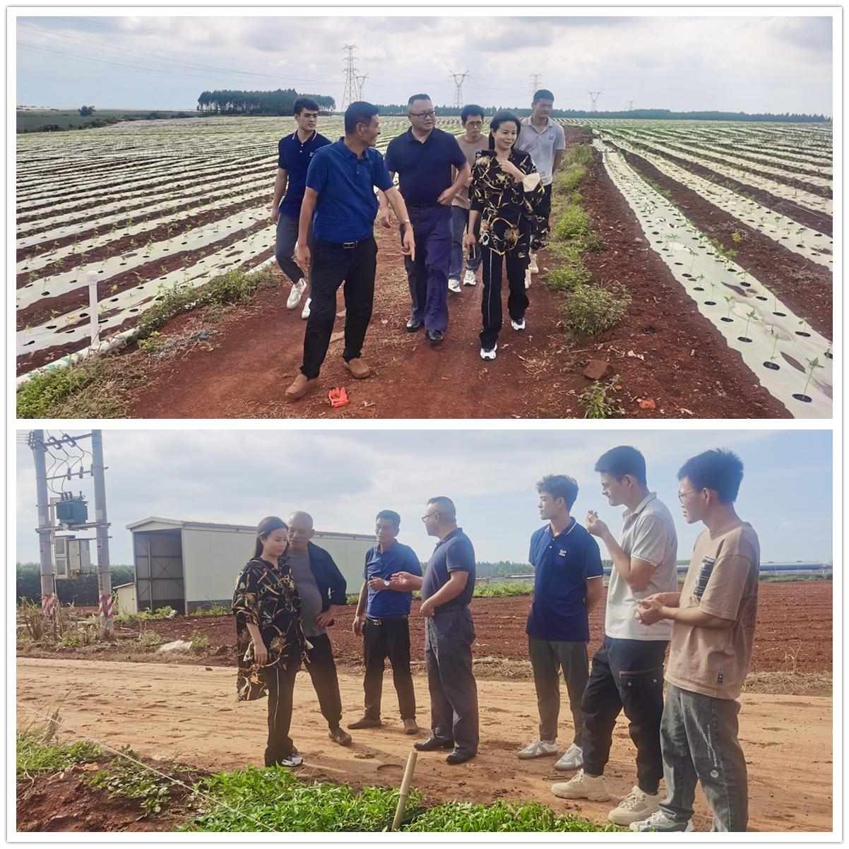 BB电子游戏·(中国)官方官网