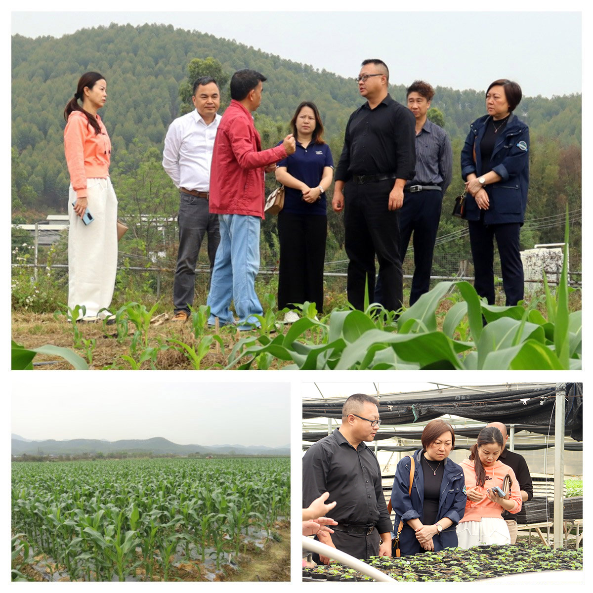 BB电子游戏·(中国)官方官网