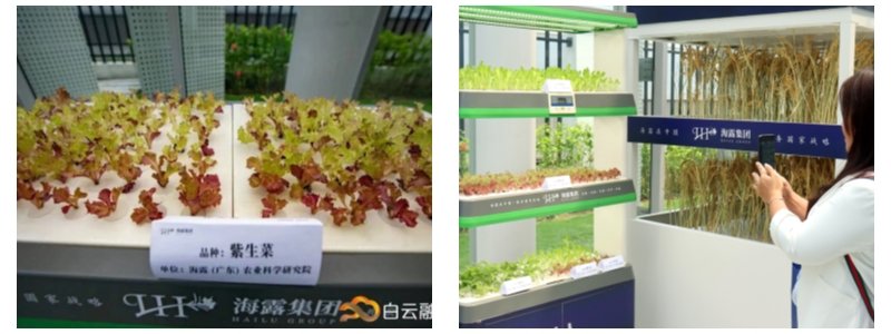 BB电子游戏·(中国)官方官网