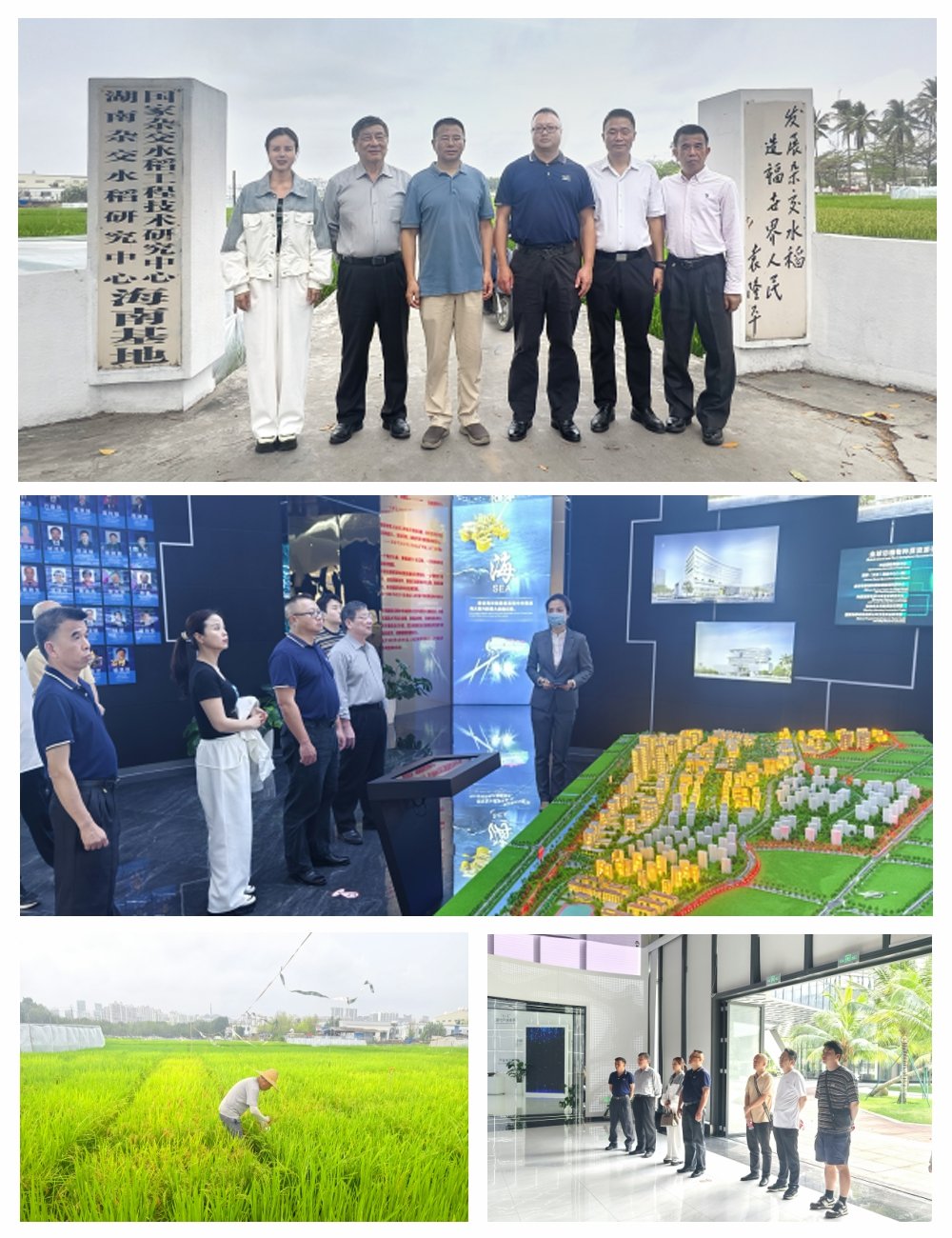 BB电子游戏·(中国)官方官网