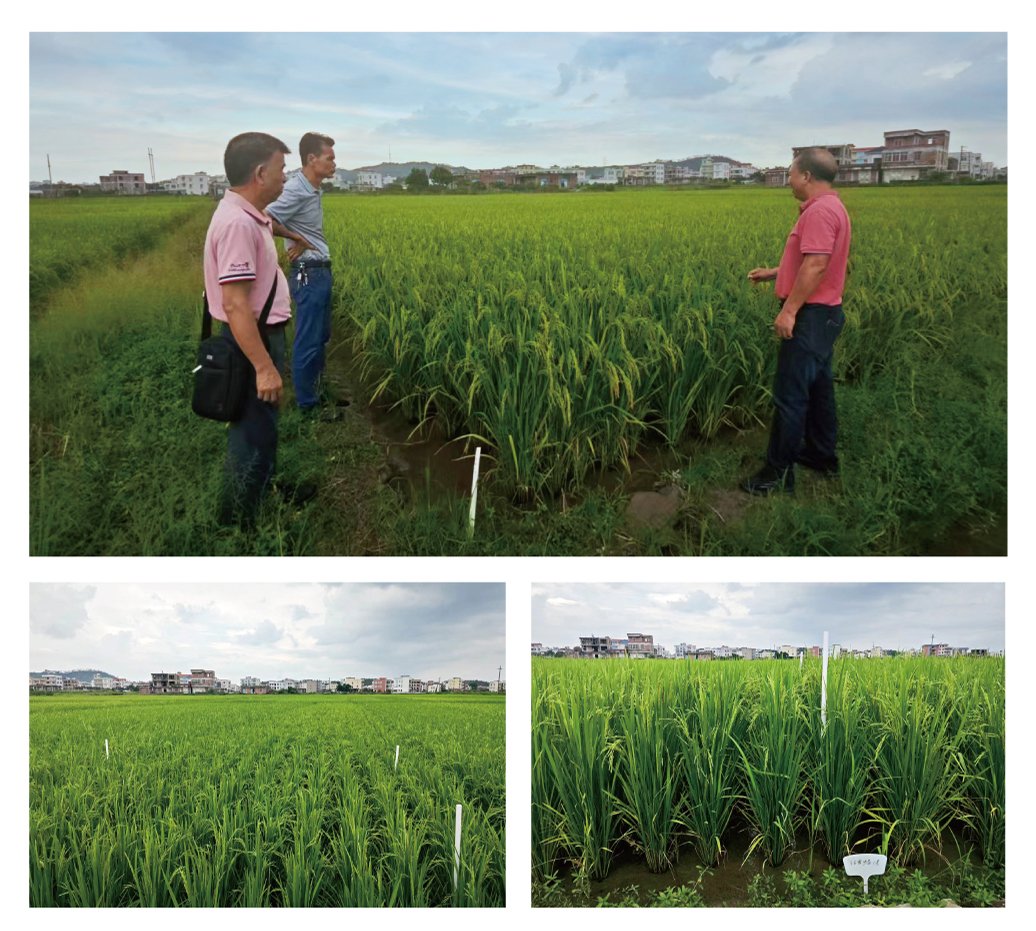 BB电子游戏·(中国)官方官网