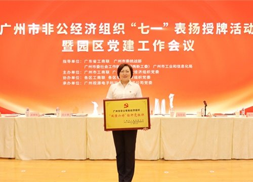 标杆引领，荣誉升级！集团党支部荣膺广州市非公有造经济组织“双强六好”标
