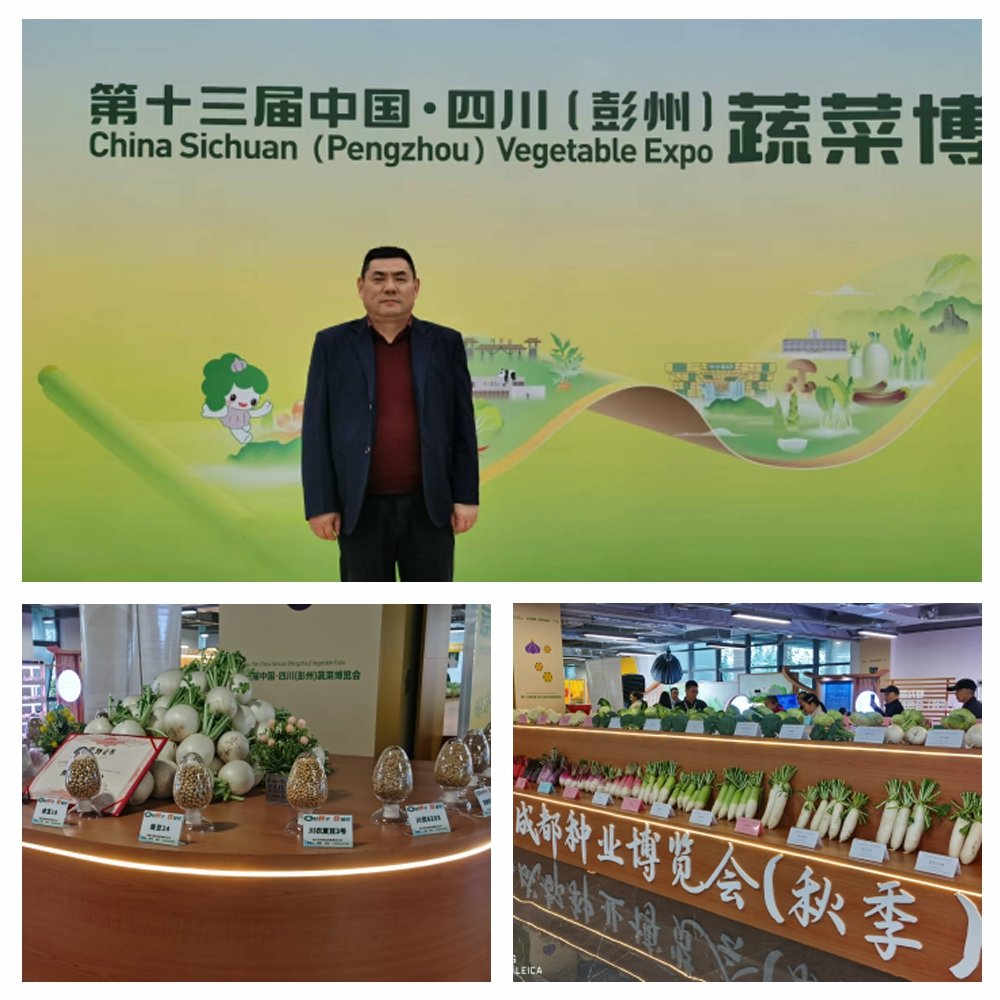 BB电子游戏·(中国)官方官网